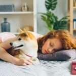 śpiąca kobieta i pies